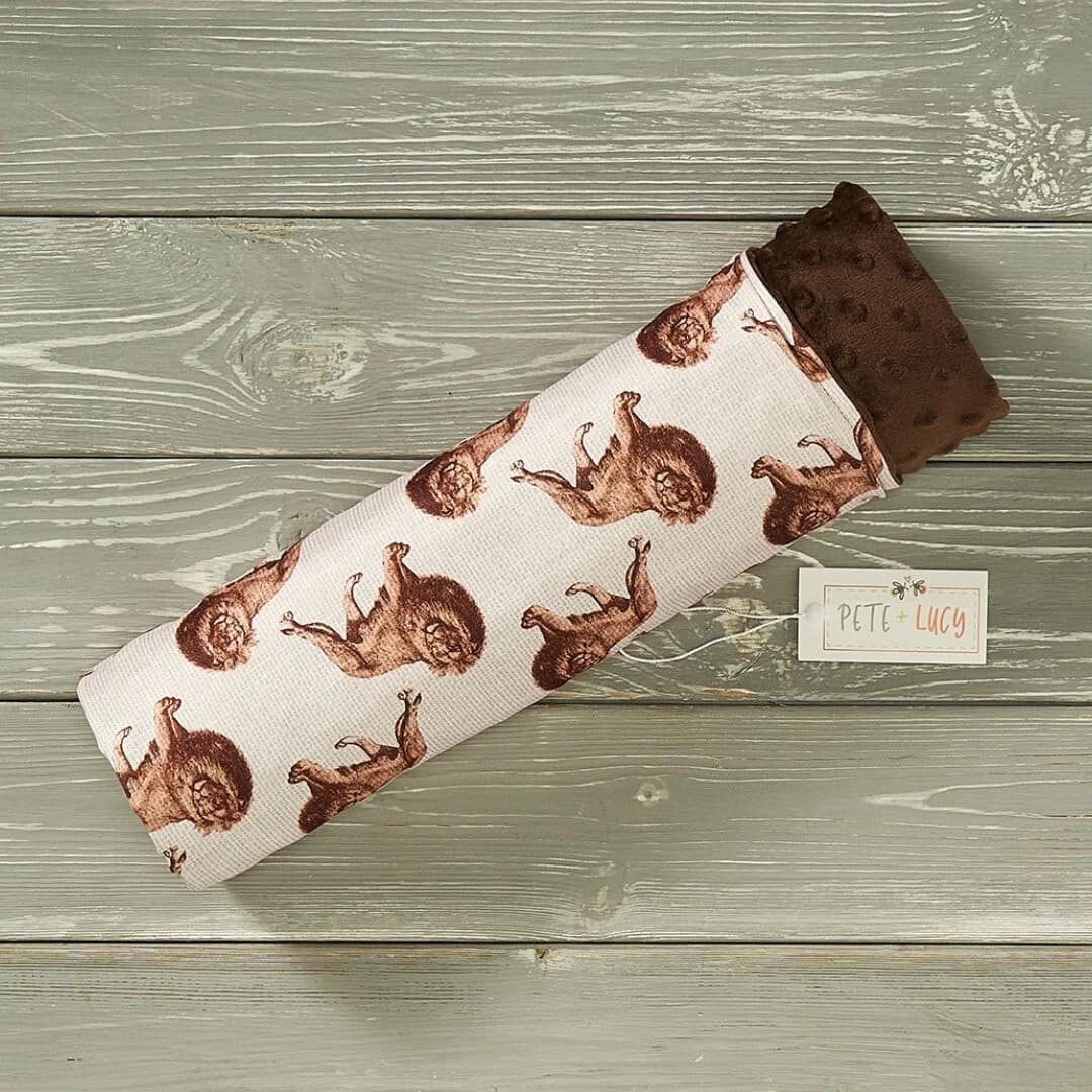 Minky Blanket